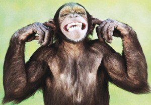 4 mono no gusta música